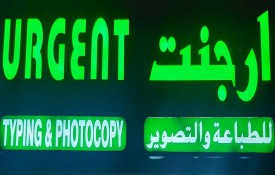 Urgent Typing And Photocopy